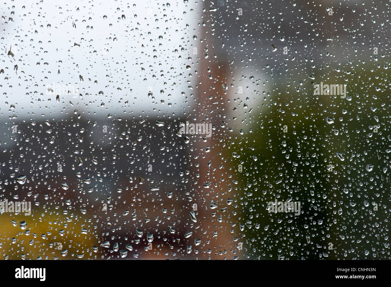 Gocce di pioggia su un vetro di finestra Foto Stock