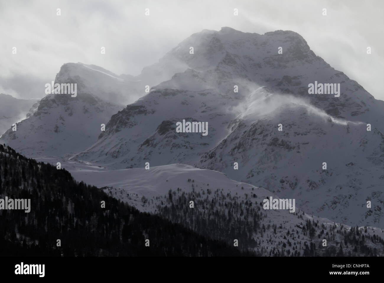 Snow-capped montuosa e foresta Foto Stock