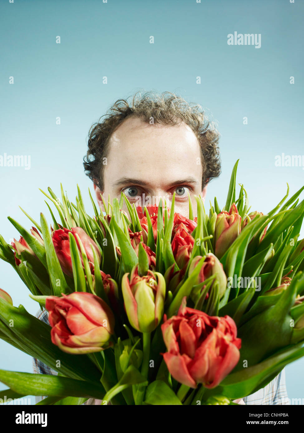Un uomo nervosamente nascondendo dietro un bouquet di tulipani Foto Stock