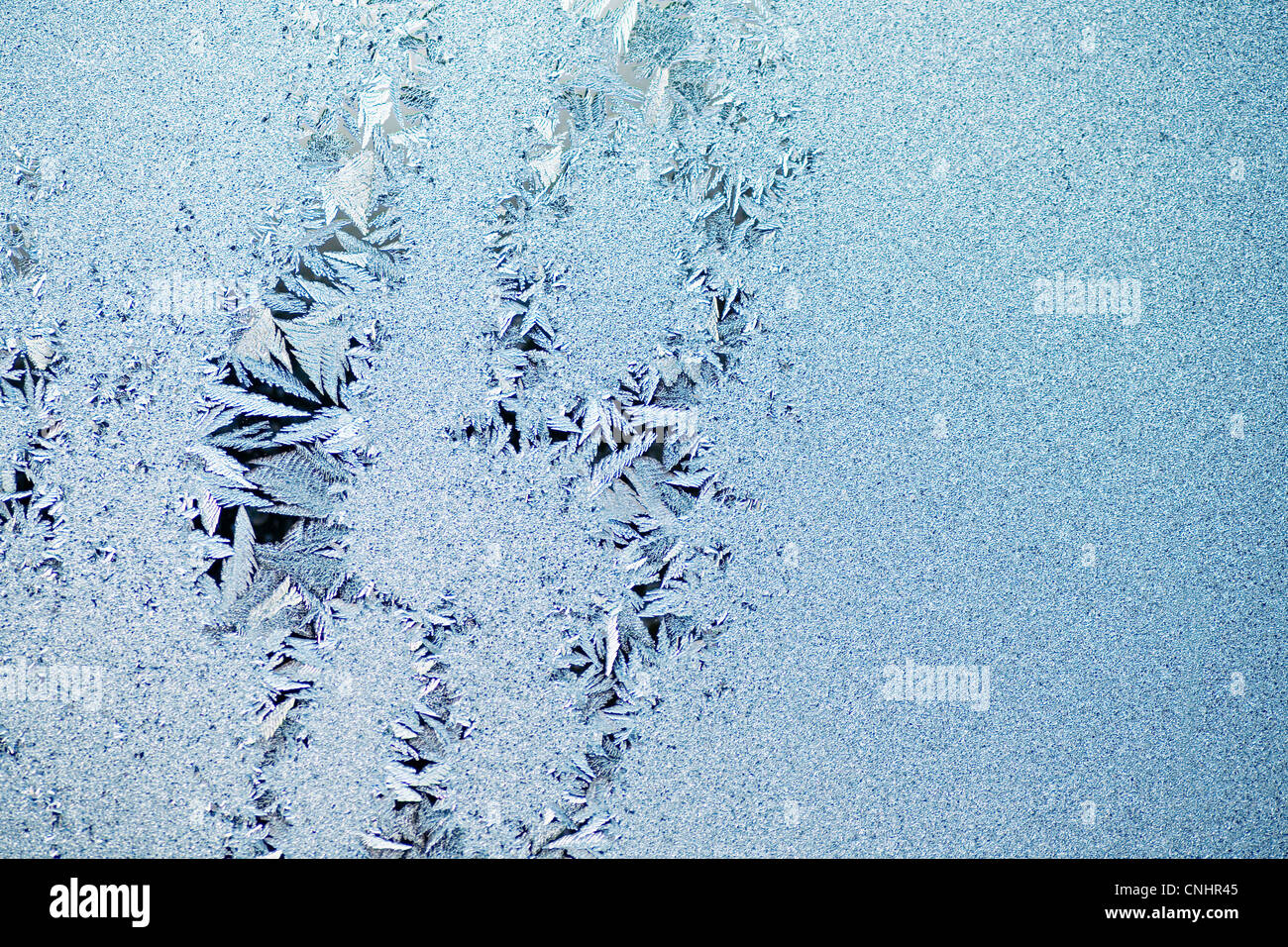 Selvaggina di penna dei cristalli di ghiaccio Foto Stock