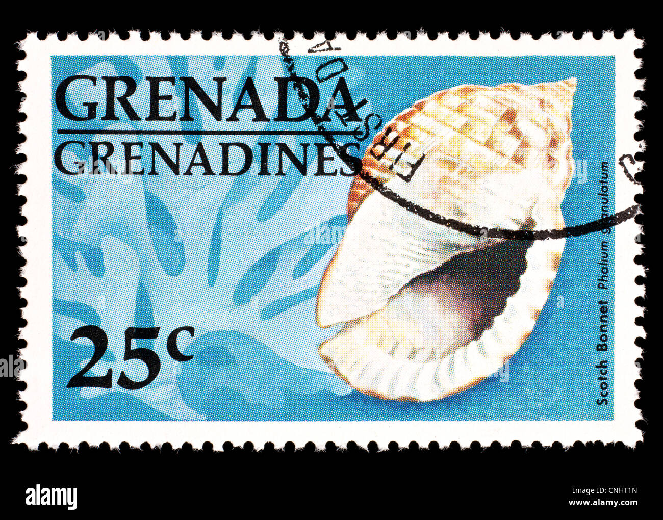 Francobollo da Grenada e Grenadine raffigurante un Scotch Bonnet lumaca di mare (Phalium granulatum) Foto Stock