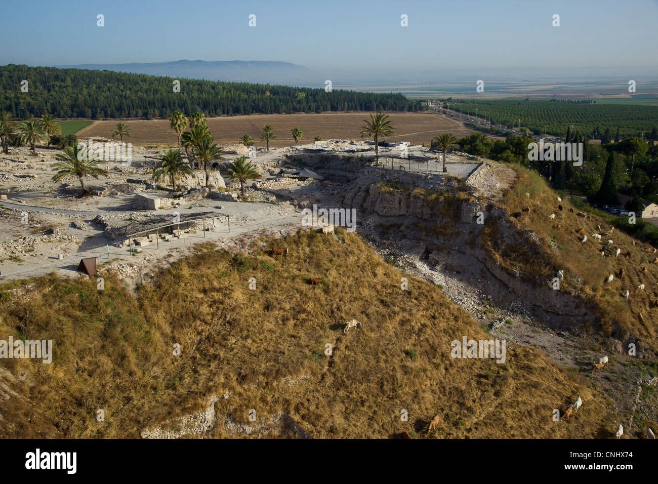 Fotografia aerea del sito archeologico di Tel Megido nella valle di Jezreel Foto Stock