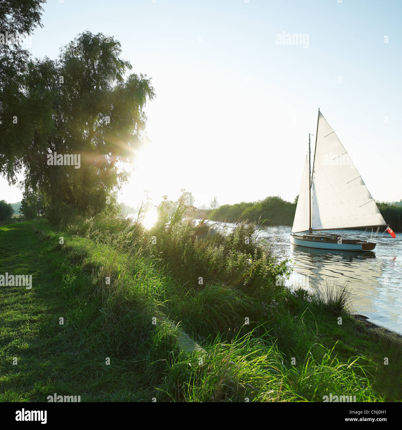 Imbarcazione a vela in Norfolk Broads, Norwich, Norfolk, Regno Unito Foto Stock