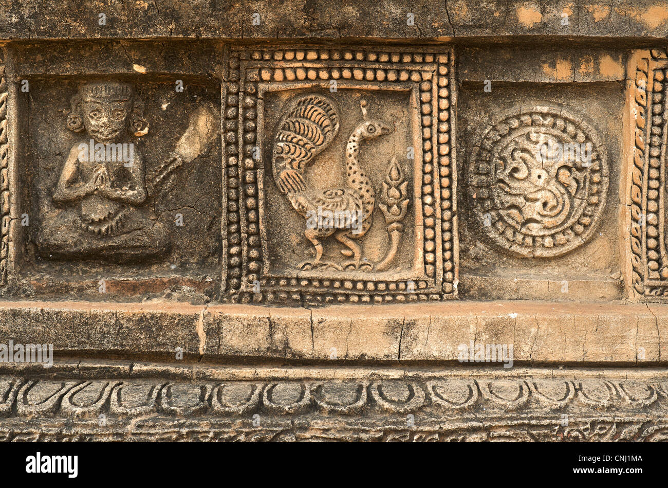 Decorazione in terracotta sulle pareti del tempio, Bagan, Birmania. Myanmar. Jataka. Peacock Foto Stock