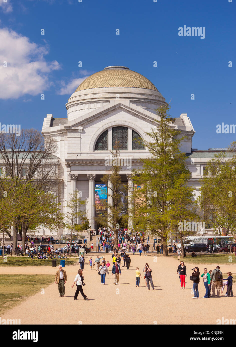 WASHINGTON, DC, Stati Uniti d'America - lo Smithsonian, il Museo di Storia Naturale. Foto Stock