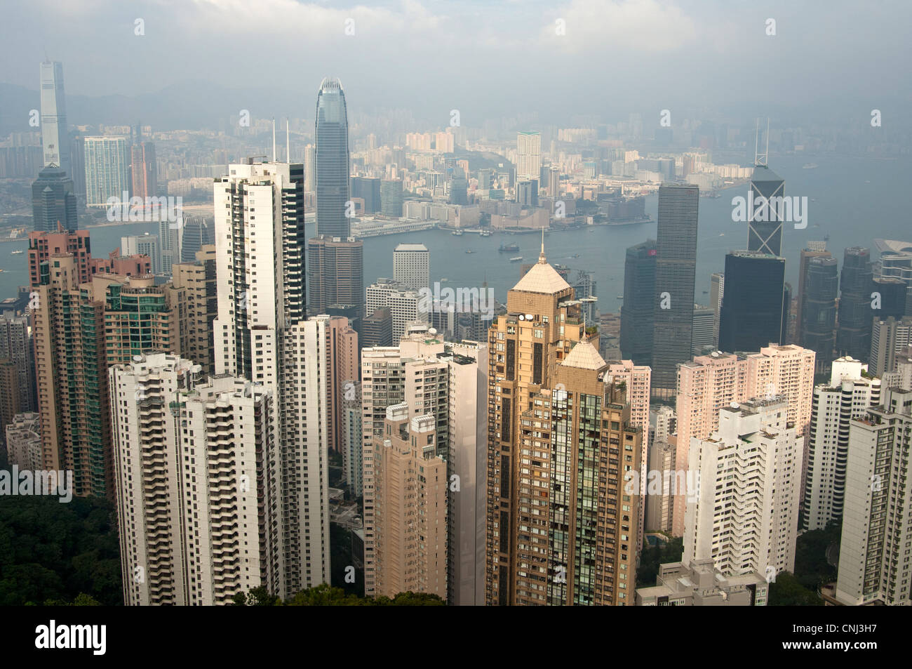 Mare di grattacieli nel centro e di Kowloon, Hong Kong Foto Stock