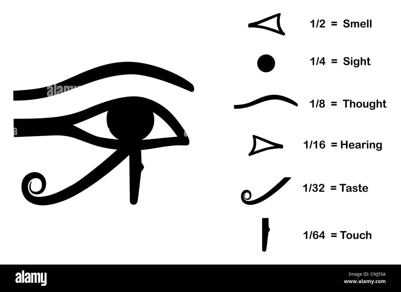 L'occhio di Horus (occhio di Ra, Wadjet) creduto dagli antichi