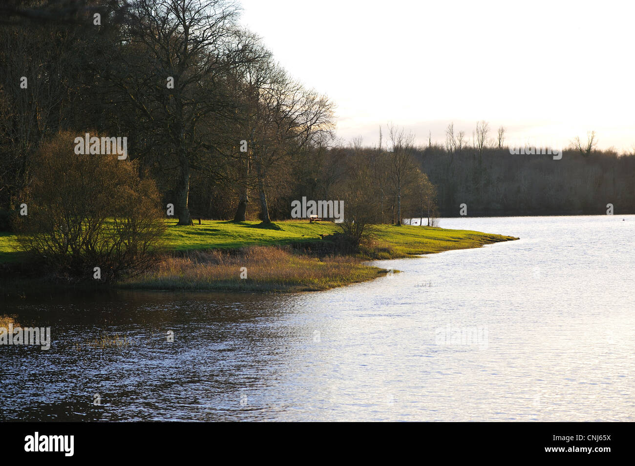 Bella serata sul lago in Killykeen Forest Park Foto Stock