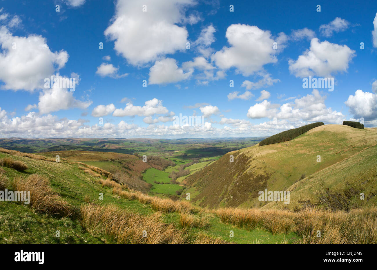 Il Galles scenic hills, vista dalla Mynydd Epynt. Foto Stock