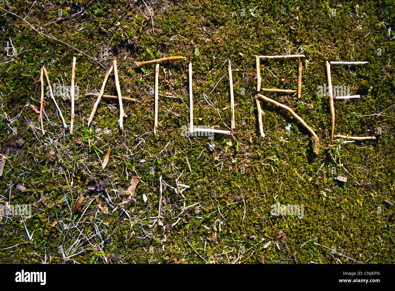 Alfabeto, animali, autunno Bella, bellezza, botanici, botanica, luminoso, colore, colorati, colori, colore, concetto, Giorno, design, Foto Stock