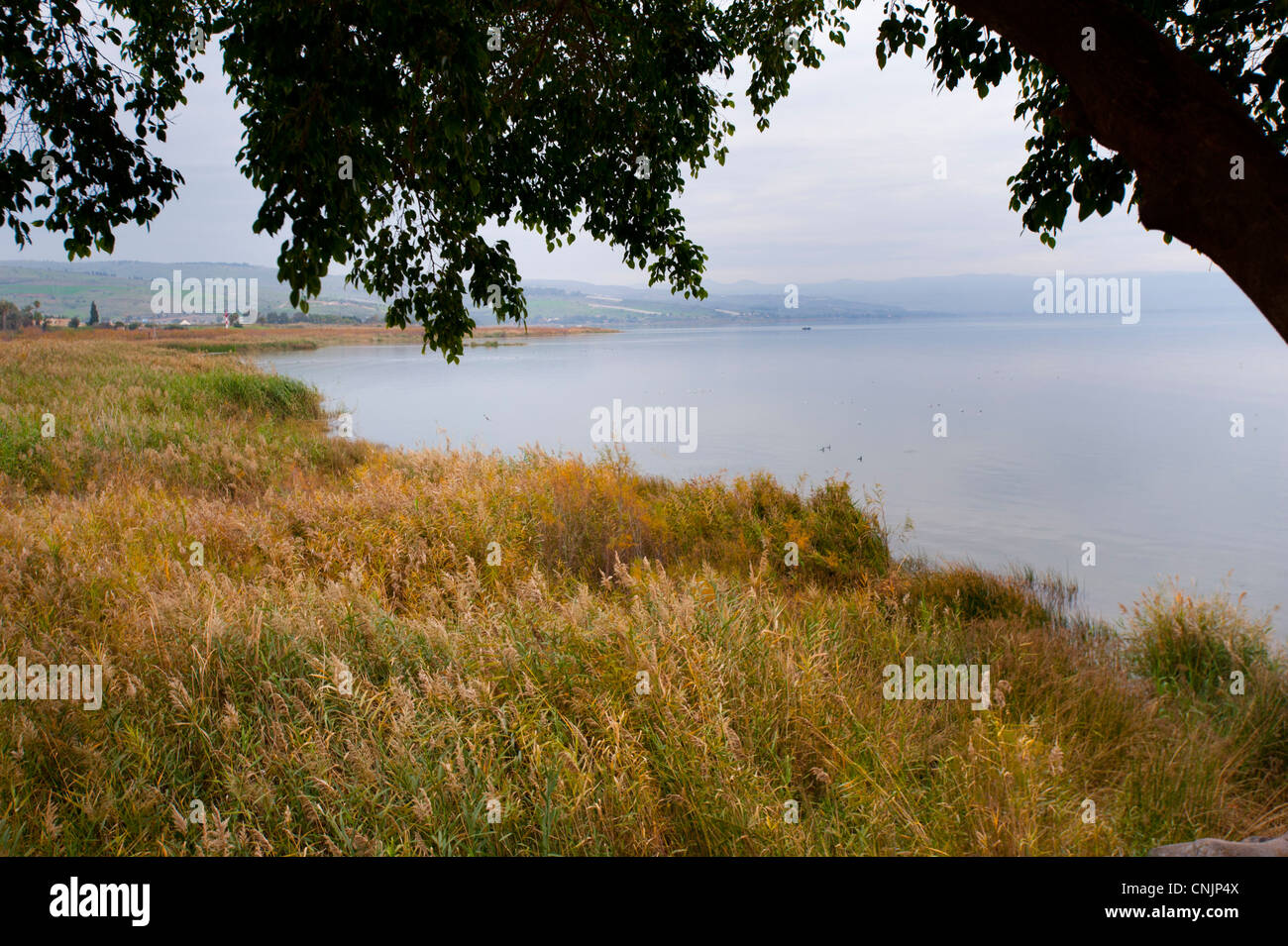 Israele Medio Oriente Mare di Galilea - Kinneret - inverno Foto Stock
