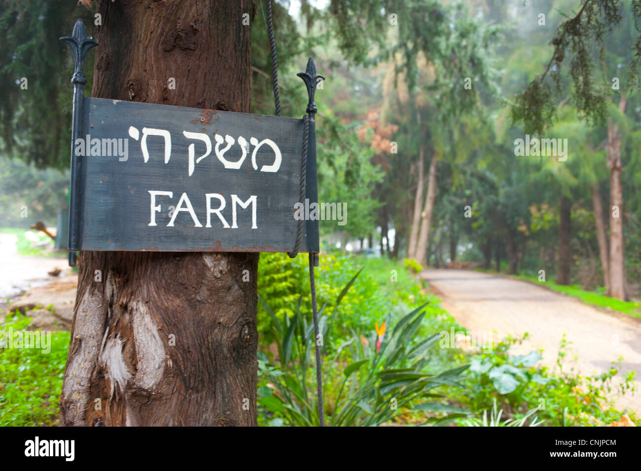 Medio Oriente Israele rosh pina resort hotel e agriturismo biologico Mizpe Hayamim segno per la fattoria in Inglese ed ebraico Foto Stock