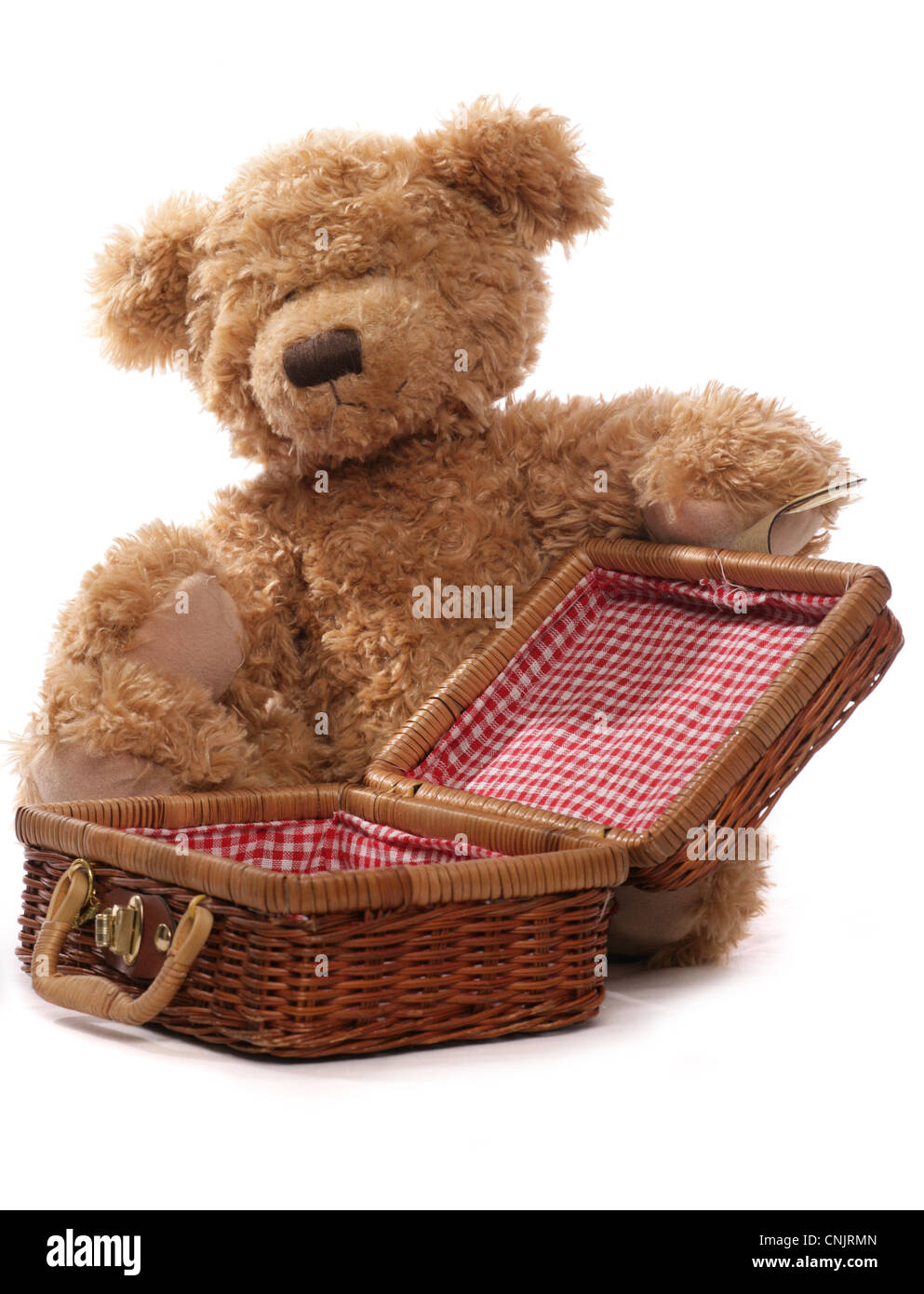 Teddy bear picnic su sfondo bianco Foto Stock