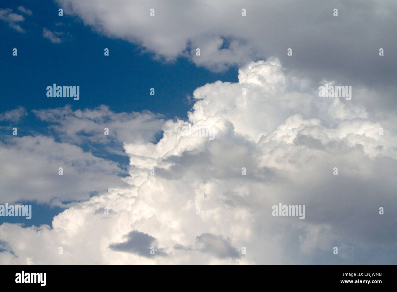 Nuvole temporalesche forma nel cielo. Foto Stock