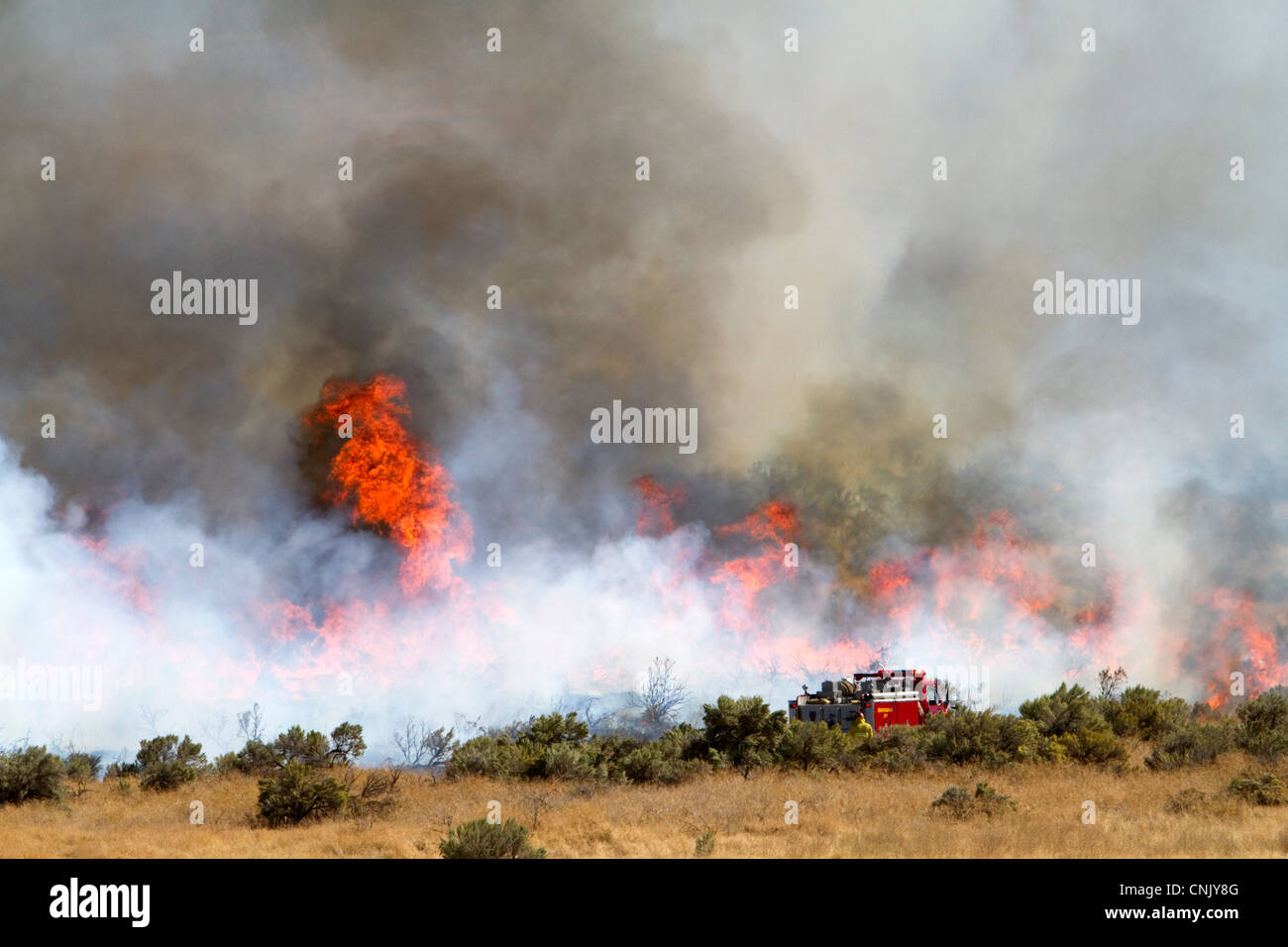 Wildfire a sud della città di Boise, Idaho, Stati Uniti d'America. Foto Stock