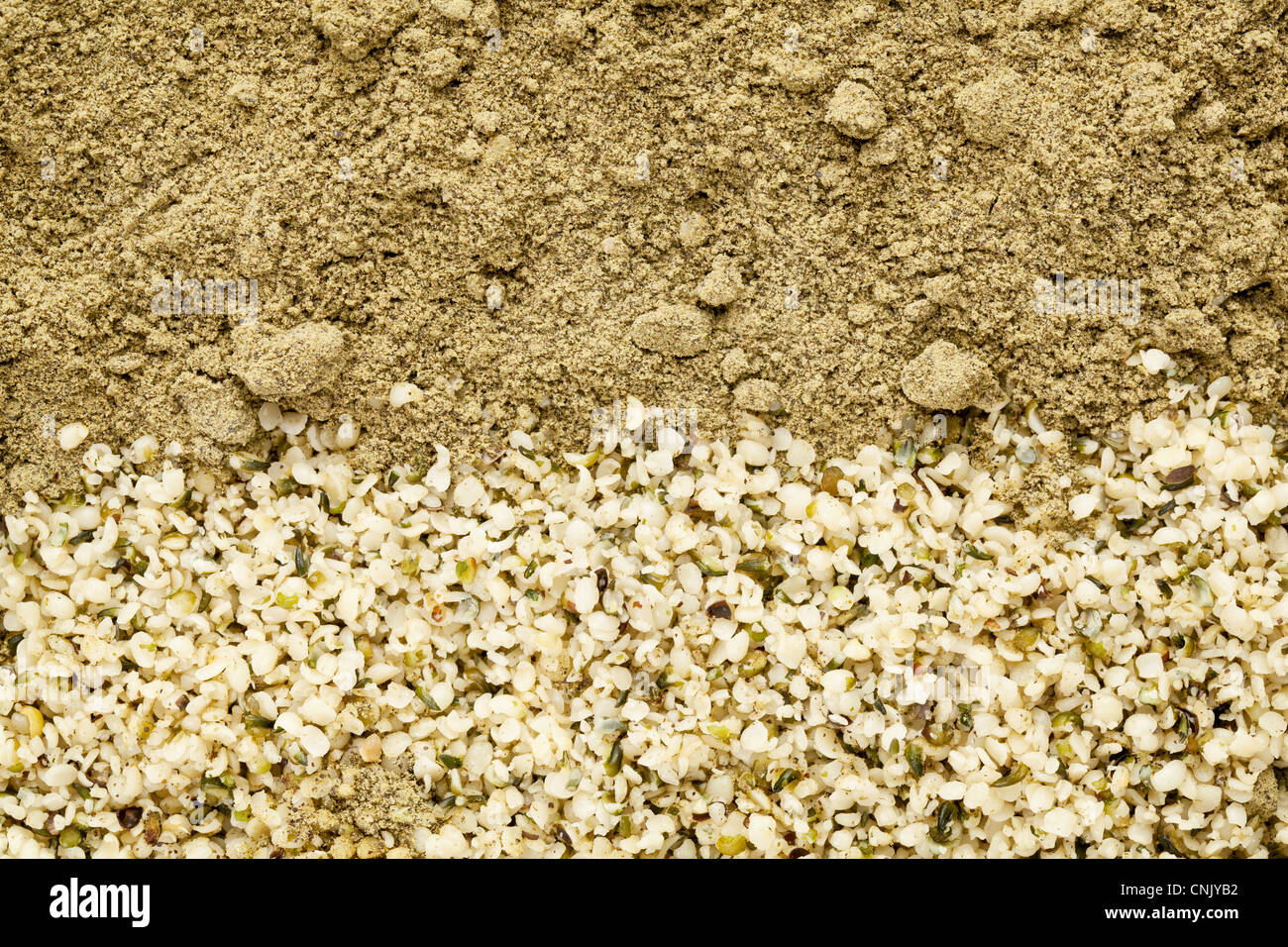 Texture di sgusciate semi di canapa e di proteine in polvere Foto Stock