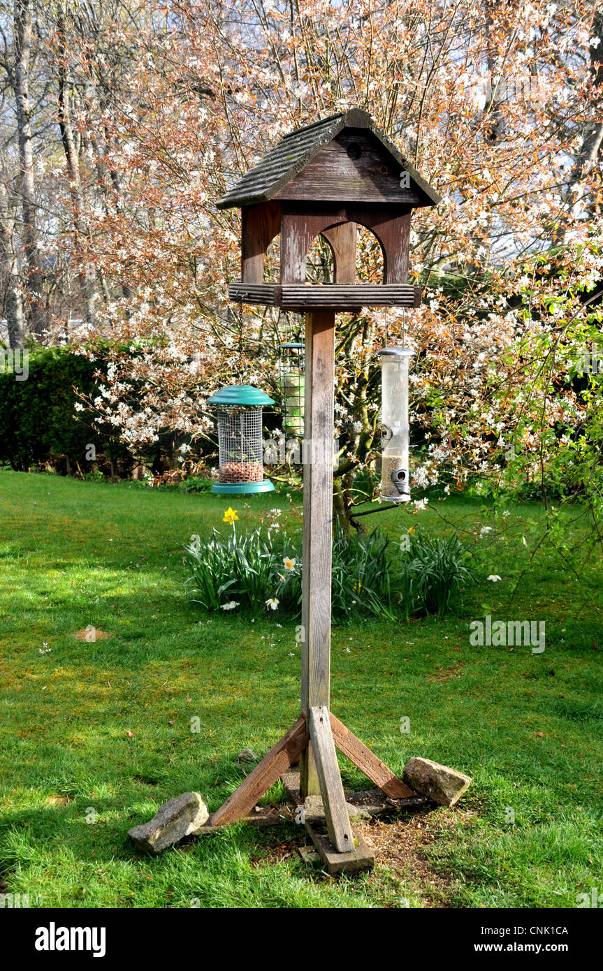 Un di legno birdhouse con uccelli appesi alimentatori in un giardino di primavera con alberi in fiore. Foto Stock