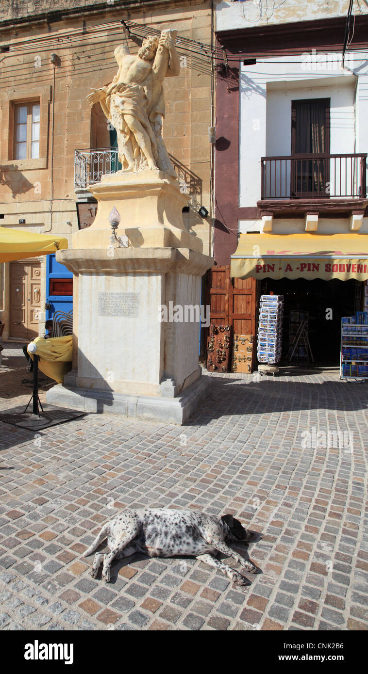 Un cane si trova in stato di stop prima di una statua nella piazza di Marsaxlokk, Malta, Europa Foto Stock