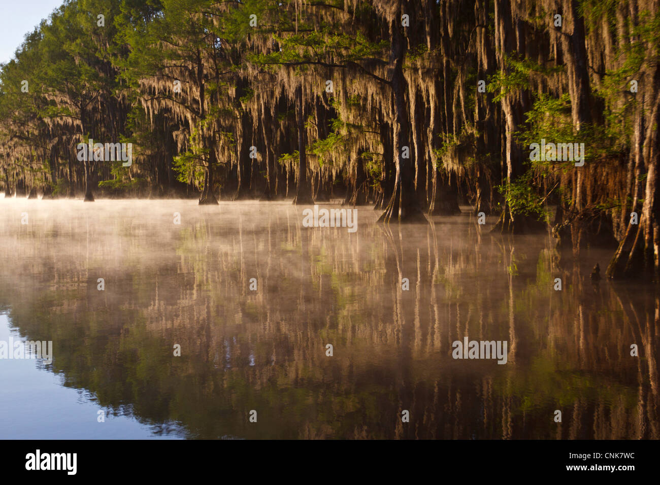 Nord America, USA, Texas, Marion Co., Caddo Lago di sunrise Foto Stock