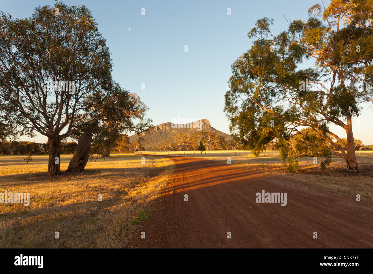 La luce del pomeriggio sul monte Lo Storione vicino a Dunkeld nel sud di Grampians in Victoria in Australia Foto Stock