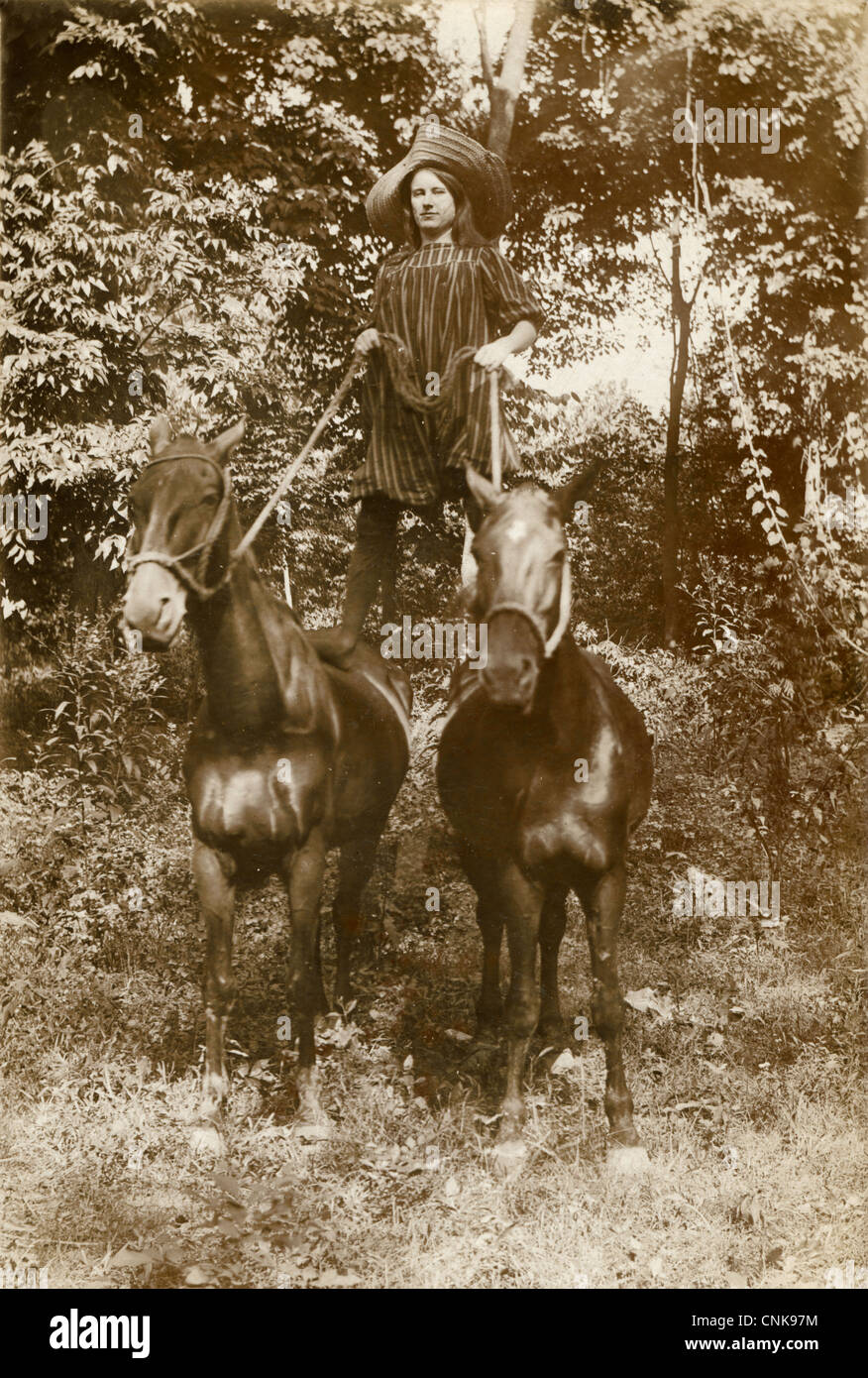 Trucco ragazza del pilota in sella due cavalli Foto Stock