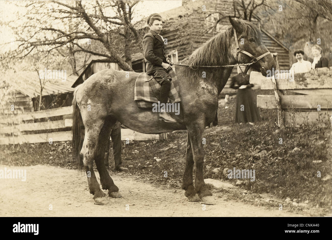 Quattro donne guarda il ragazzino a Cavallo Foto Stock