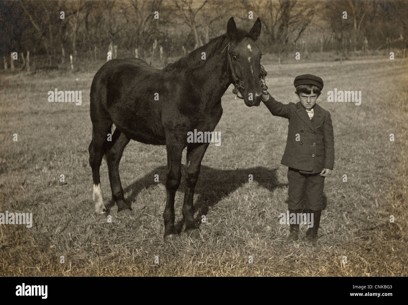 Feroce piccolo ragazzo in un campo con il suo cavallo Foto Stock