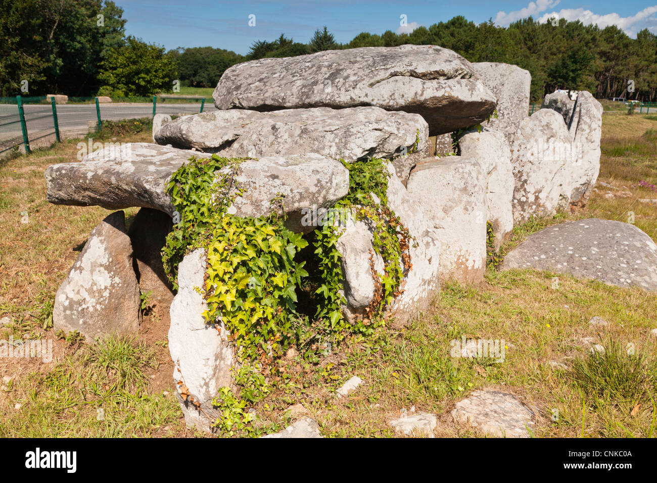 Dolmen o passaggio grave, Kerlescan allineamenti, Carnac, Brittany, Francia Foto Stock
