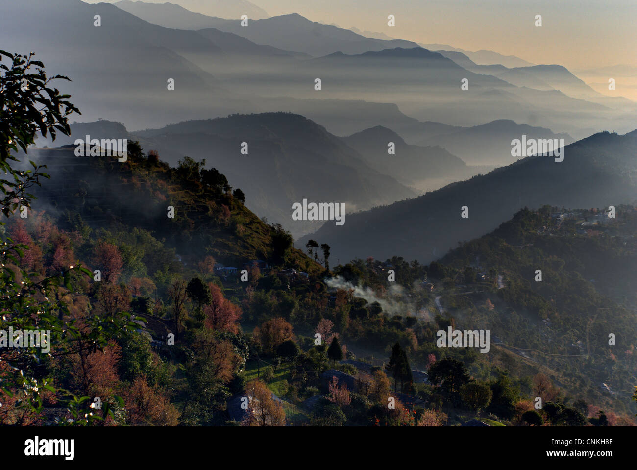 Il nepalese di colline e valli di nebbia all'alba e villaggio gurung con ciliegi fioriti nei pressi di Annapurna montagna in Nepal Foto Stock