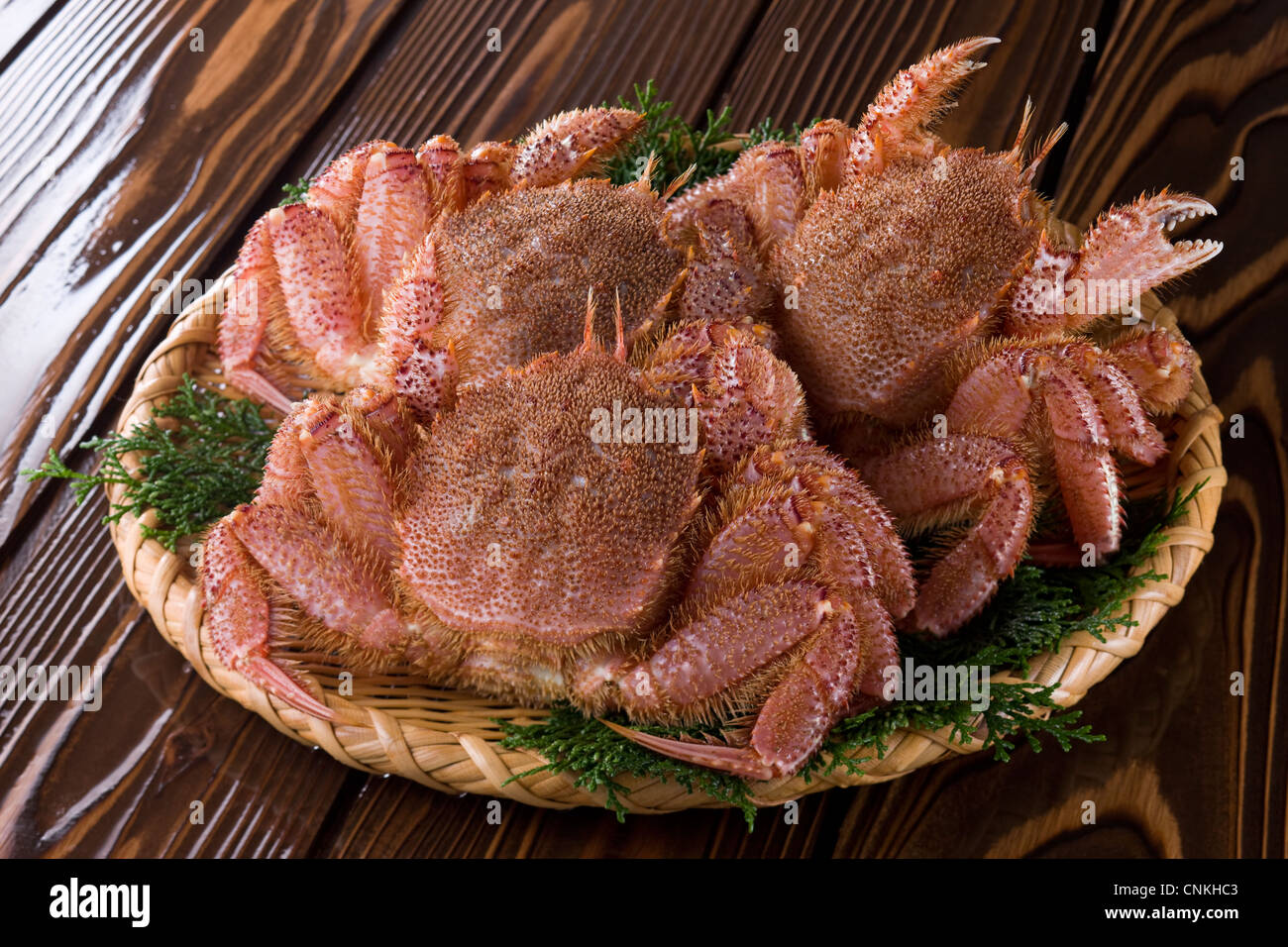 Granchio di crine di cavallo Foto Stock