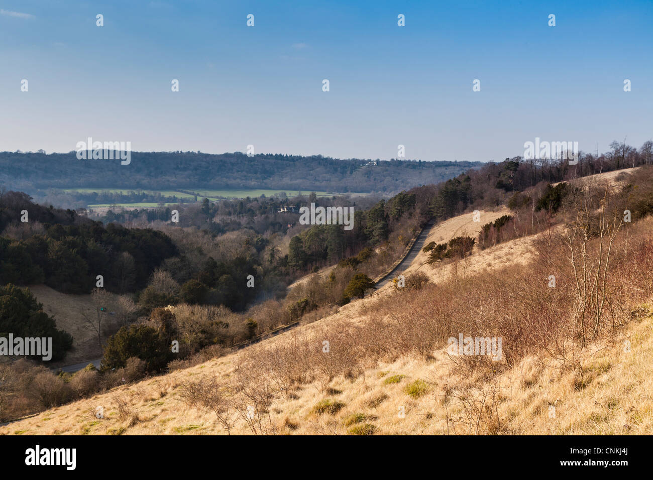 Una vista di Box Hill Surrey in Inghilterra che mostra la ripida strada che conduce verso l'alto. Foto Stock