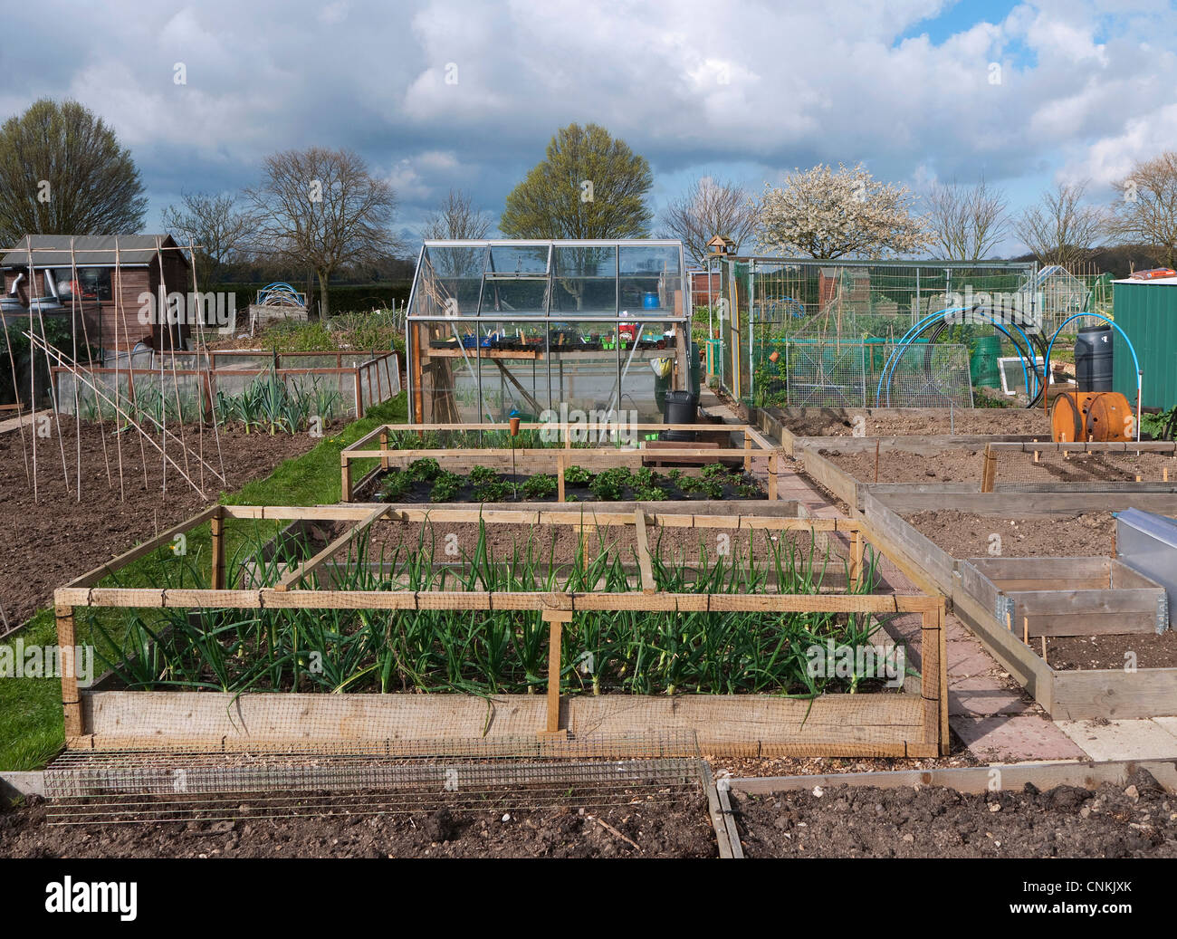 Riparto Urbano garden, Norwich, Norfolk, Inghilterra Foto Stock