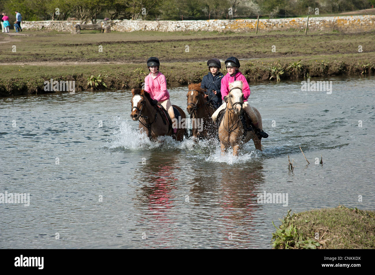 Pony piloti di attraversare il fiume Ewenny a Ogmore nel Vale of Glamorgan S Wales UK Foto Stock