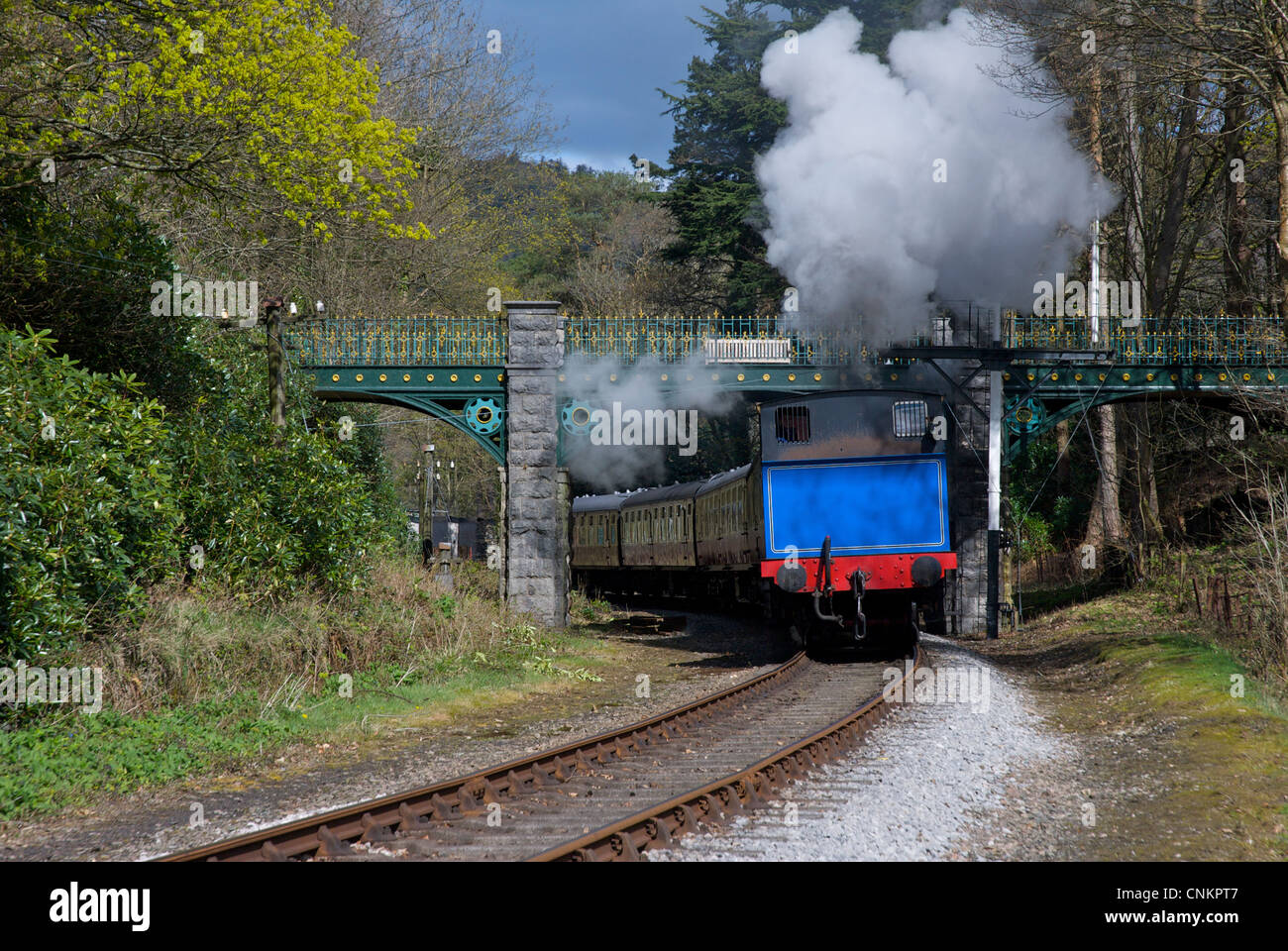 Treno a vapore sul lago e ferrovia Haverthwaite, Parco Nazionale del Distretto dei Laghi, Cumbria, England Regno Unito Foto Stock