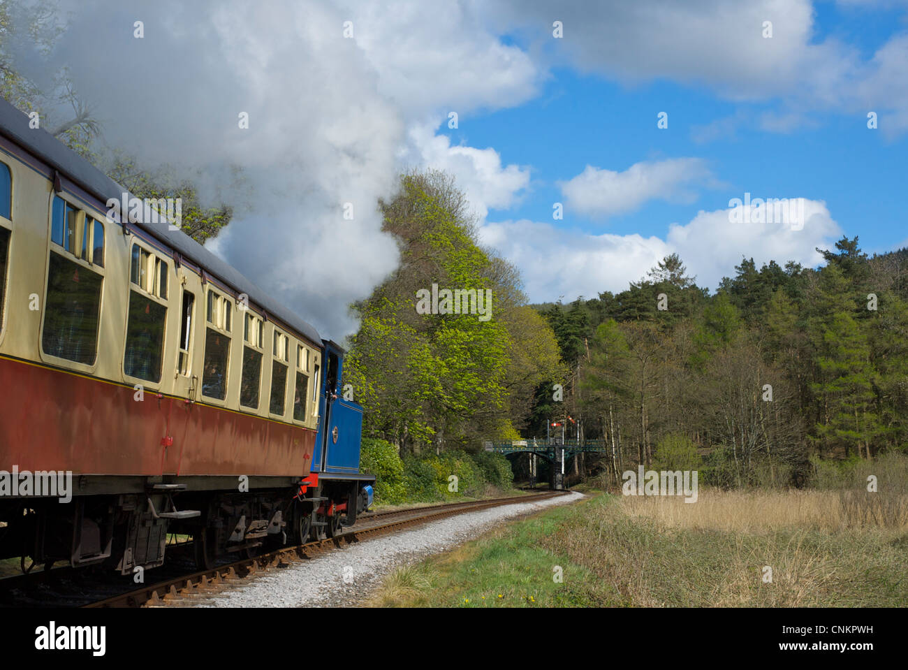 Treno a vapore sul lago e ferrovia Haverthwaite, Parco Nazionale del Distretto dei Laghi, Cumbria, England Regno Unito Foto Stock