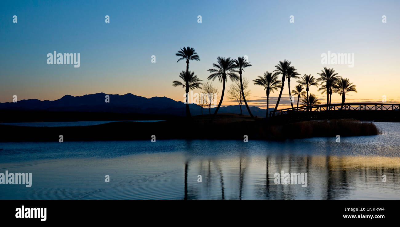 Palme & Sunrise, Lago Las Vegas, Nevada USA Foto Stock