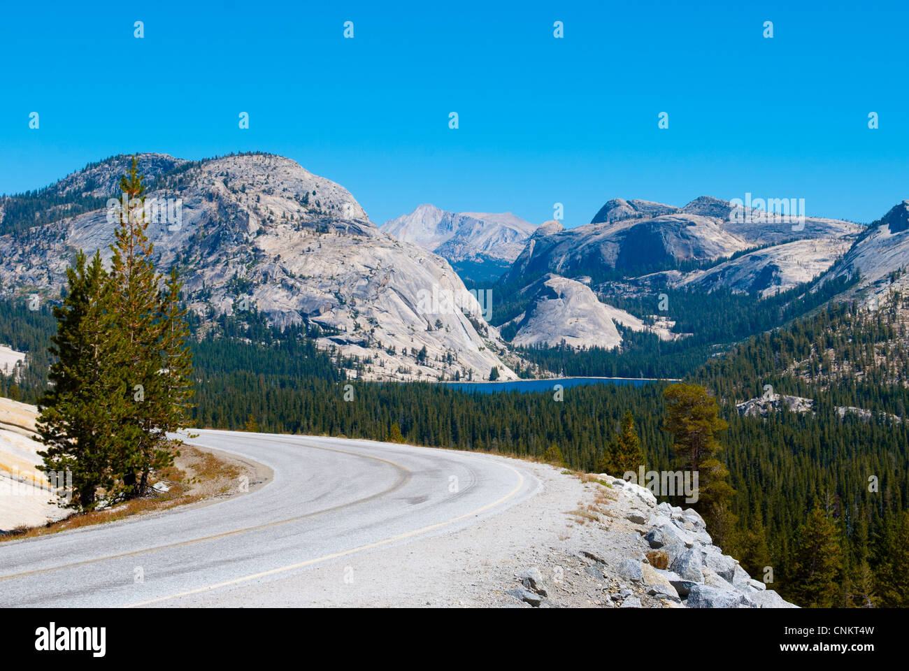 Autostrada 120 nel Parco Nazionale di Yosemite in California, Tioga pass road, Lago Tenaya in background Foto Stock