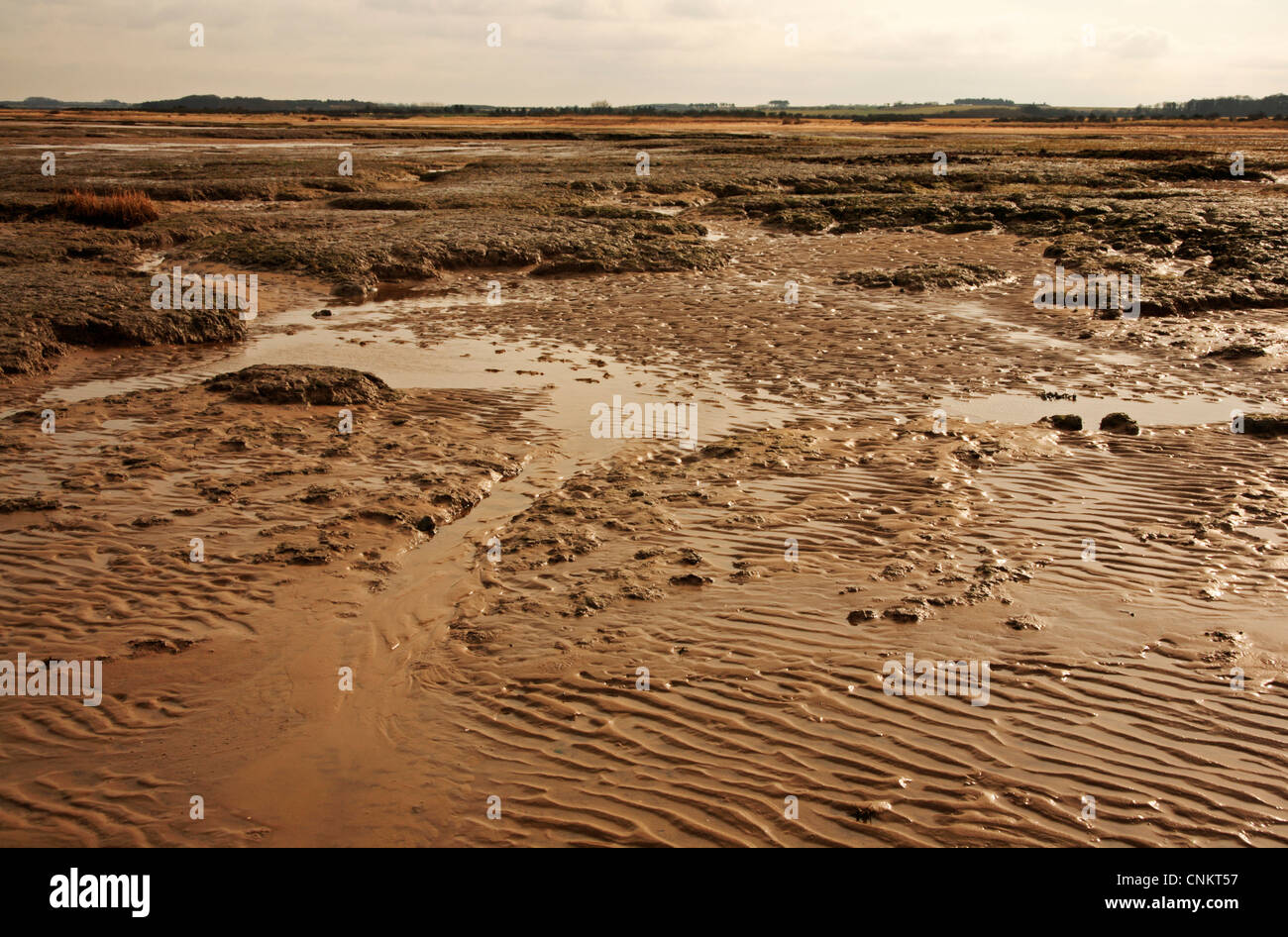Le sabbie e argille ha rivelato a bassa marea sul bordo di saltings a Stiffkey Freshes, Norfolk, Inghilterra, Regno Unito. Foto Stock