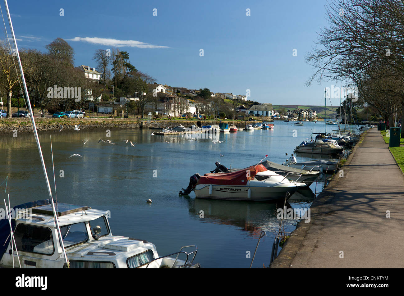 Kingsbridge Harbour, South Devon, Regno Unito Foto Stock