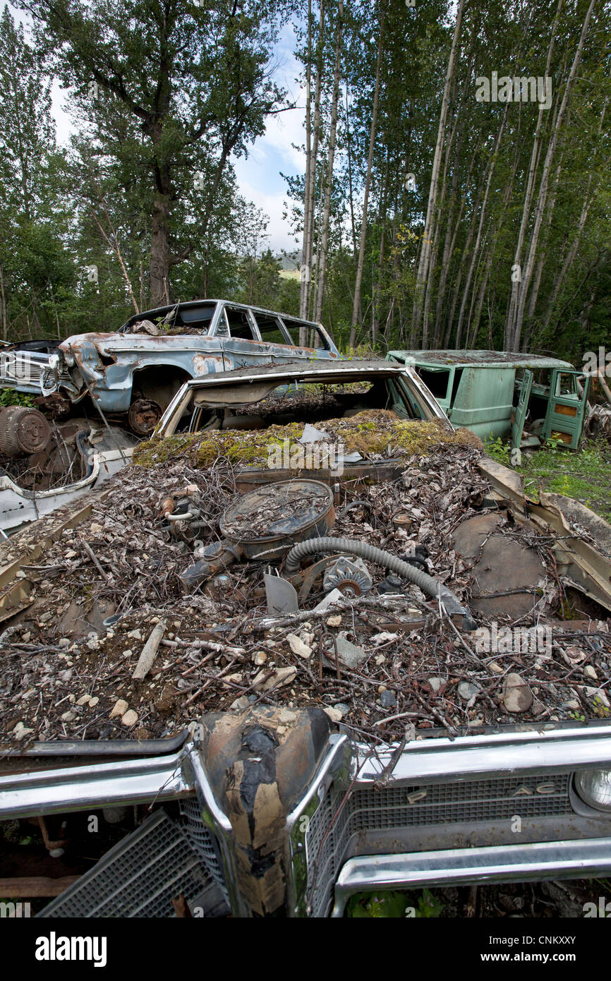 Il cimitero di auto. L'Alaska. Stati Uniti d'America Foto Stock