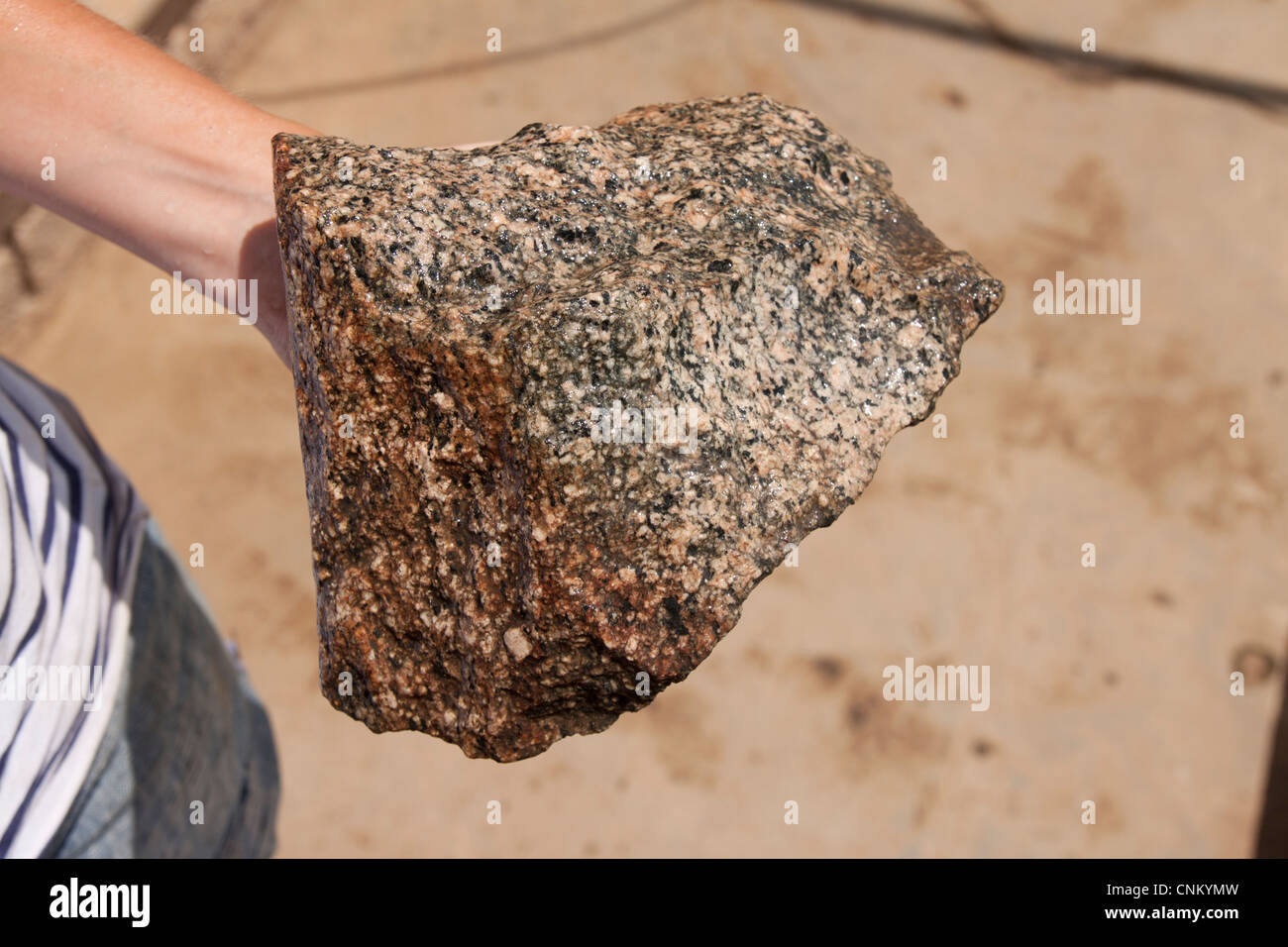 Un geologo femmina trattiene un campione di roccia di granito mentre la mappatura geologica. Foto Stock