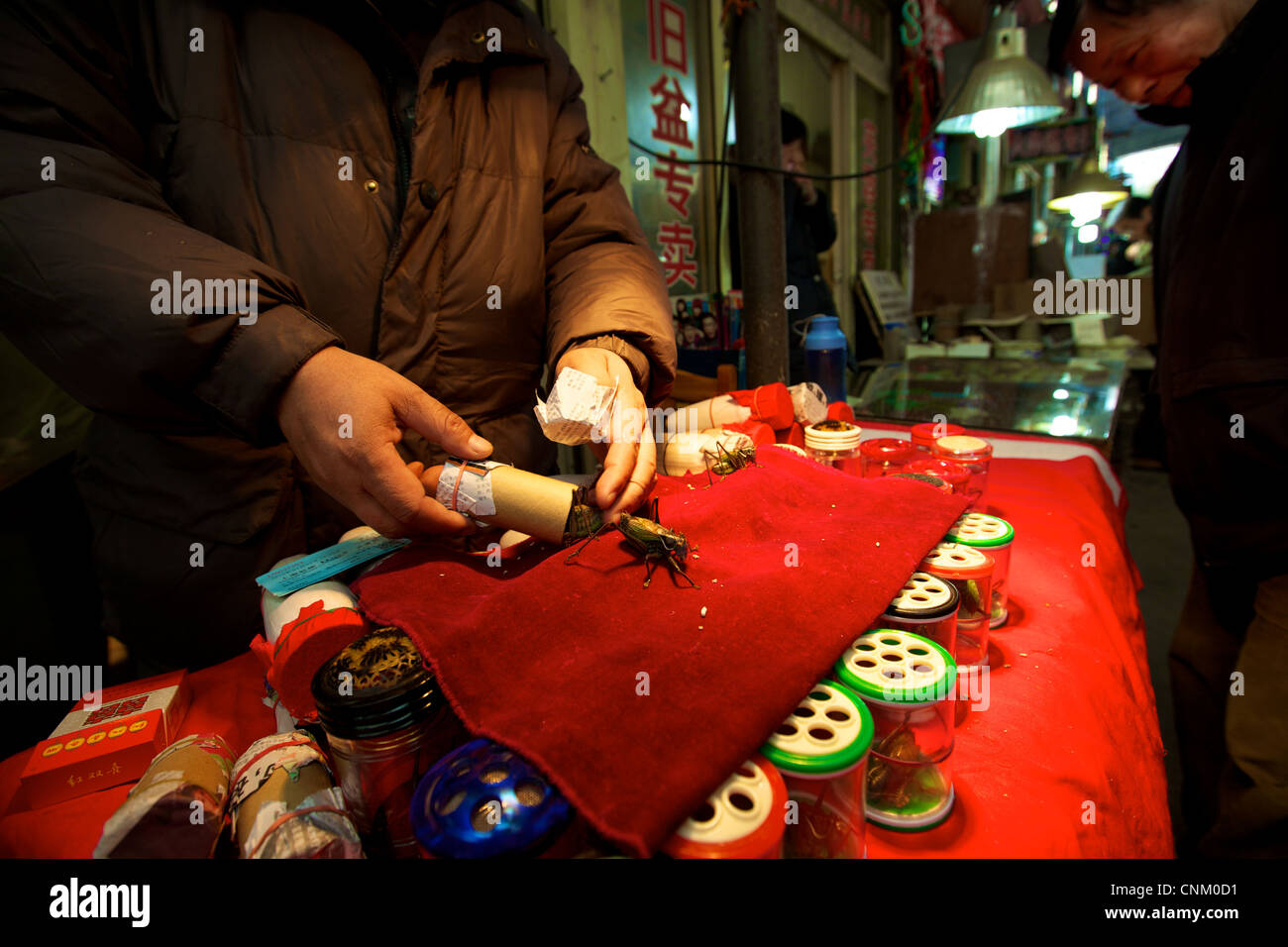 Venditore di bug Foto Stock