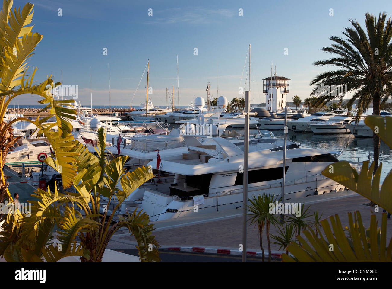 Puerto Portals in Maiorca, SPAGNA Foto Stock