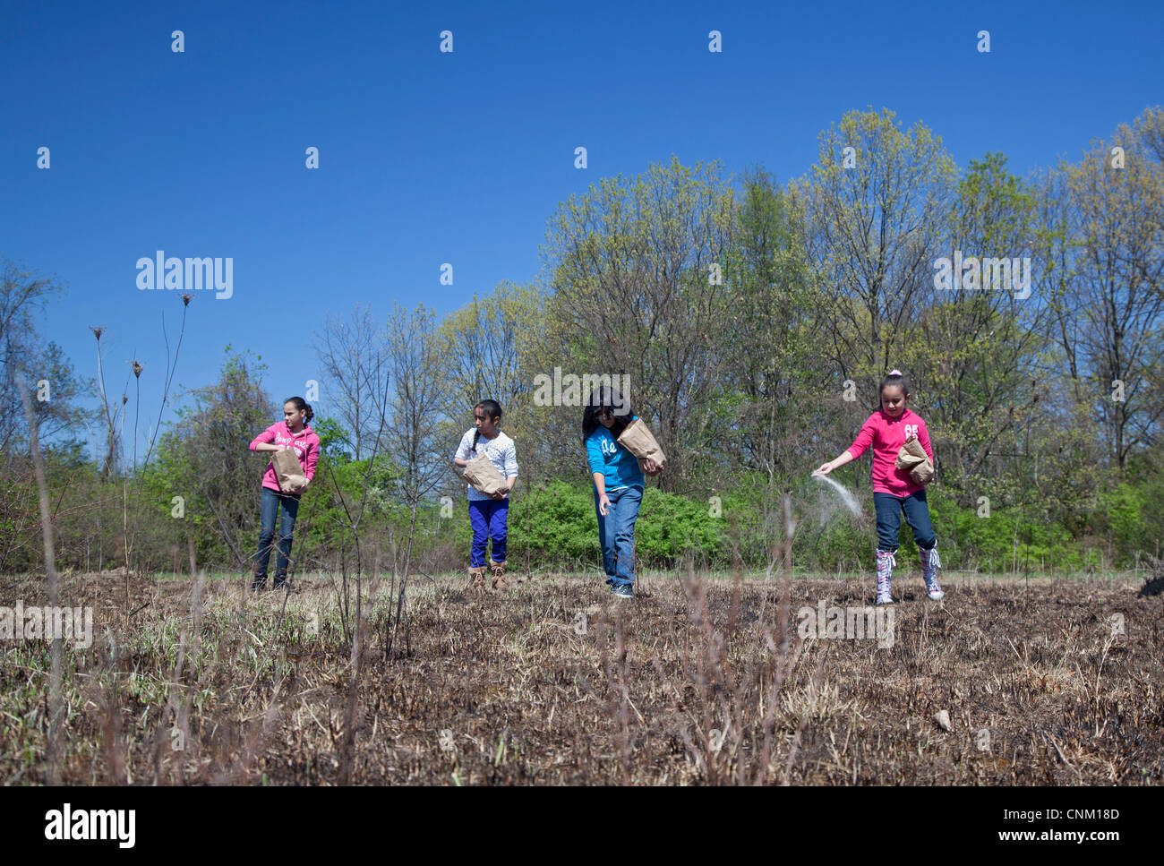 I bambini delle elementari seminare i semi per ripristinare la prateria nativi dopo che esso è stato intenzionalmente bruciata per eliminare le specie invasive. Foto Stock