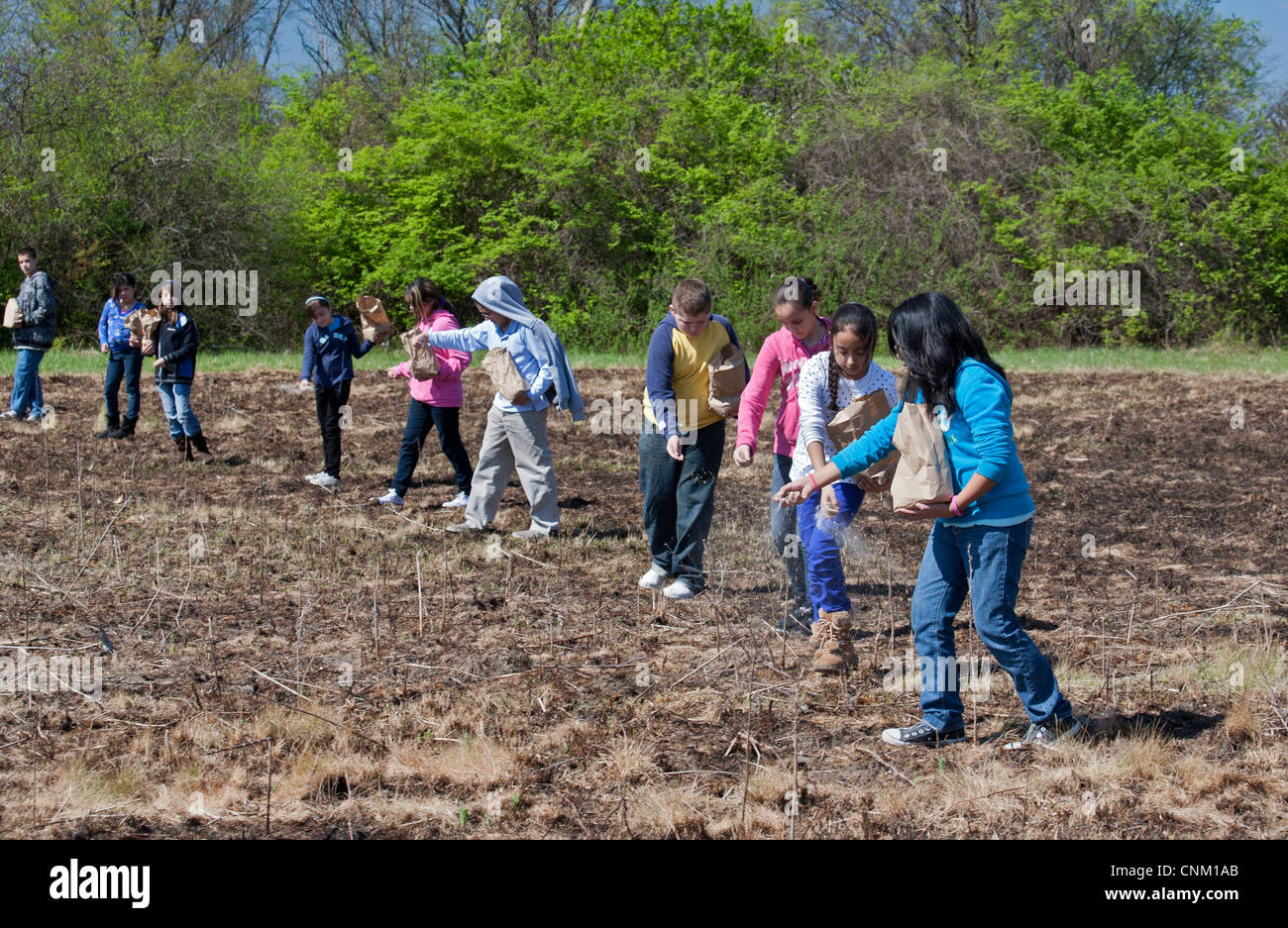 I bambini delle elementari seminare i semi per ripristinare la prateria nativi dopo che esso è stato intenzionalmente bruciata per eliminare le specie invasive. Foto Stock