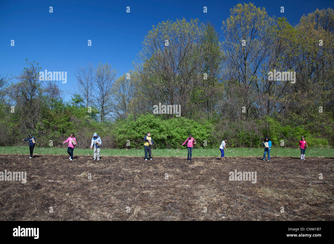 I bambini delle elementari seminare i semi per ripristinare la prateria nativi dopo che esso è stato intenzionalmente bruciata per eliminare le specie invasive. Foto Stock