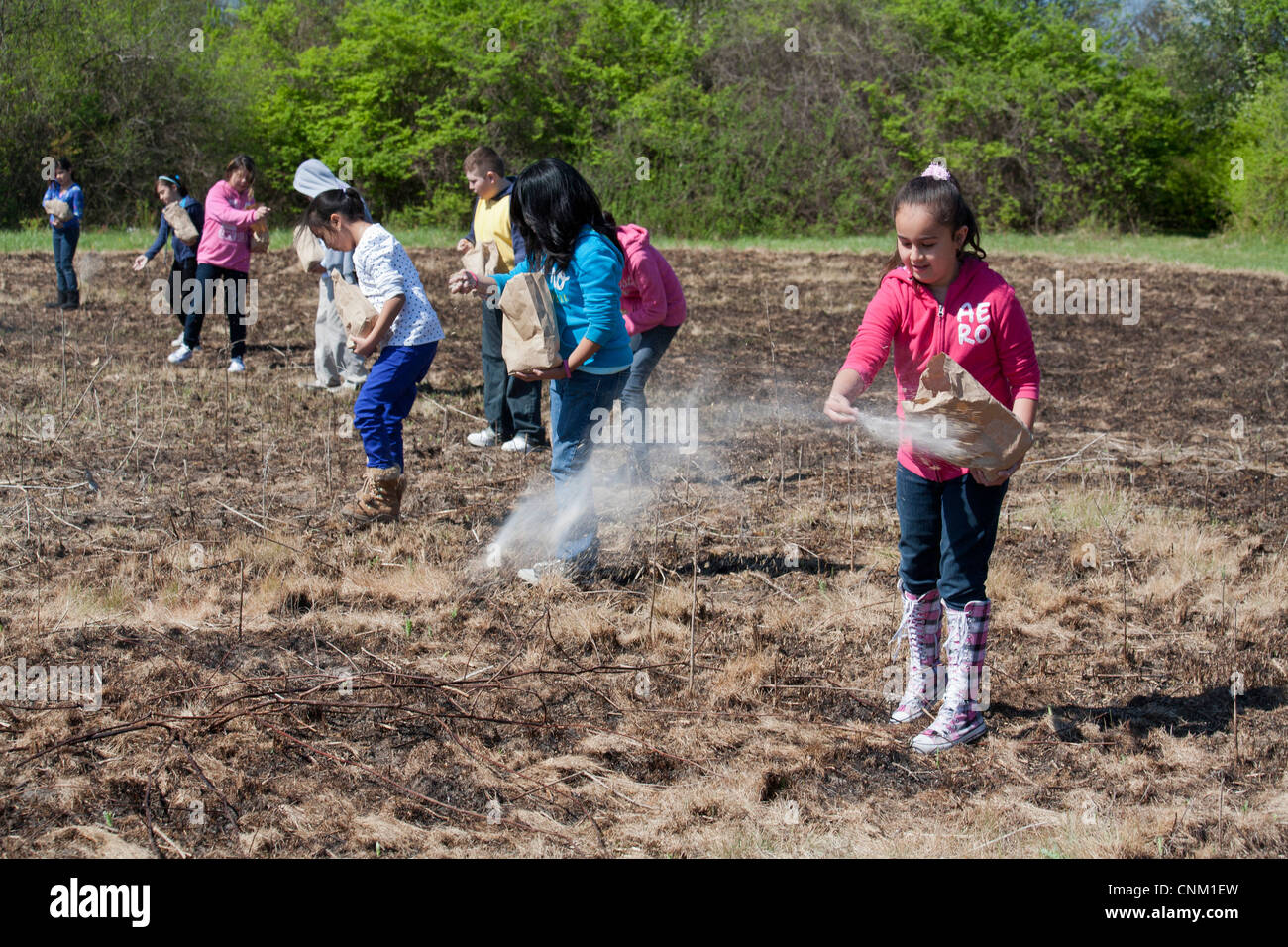 I bambini delle elementari seminare i semi per ripristinare la prateria nativi dopo che esso è stato intenzionalmente bruciata per eliminare le specie invasive. Foto Stock