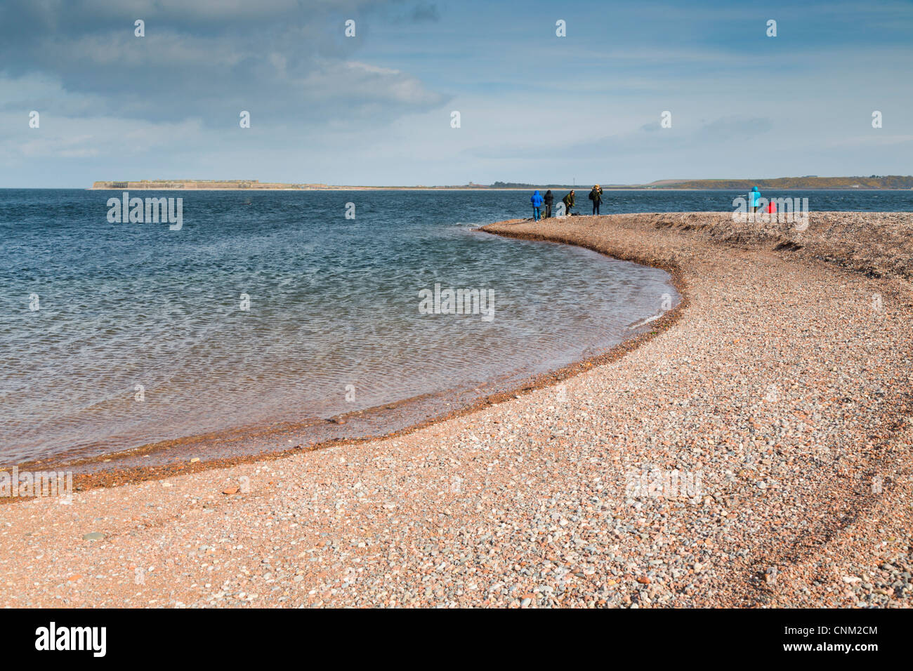 Punto Chanonry; Moray Firth; Black Isle; Scozia; Regno Unito; guarda per i delfini; Foto Stock