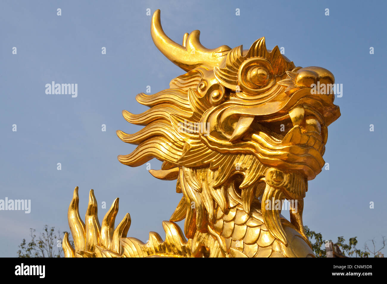 Golden DRAGON, simbolo della dinastia Nguyen, nella città imperiale, tonalità, Vietnam Foto Stock