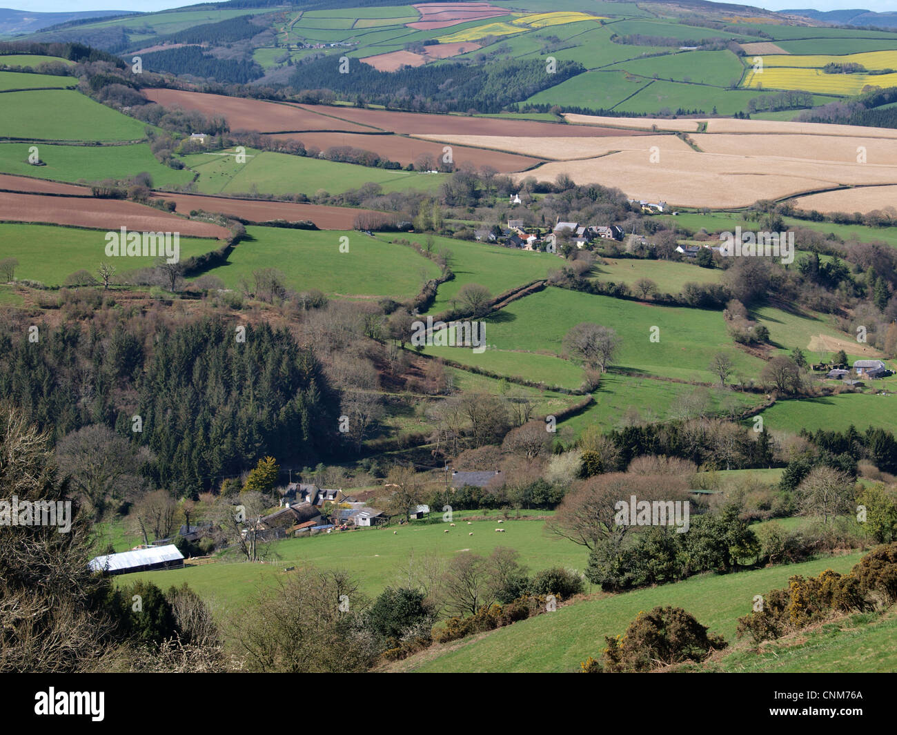 Vista su terreni agricoli da B3190. Somerset. Regno Unito Foto Stock